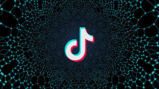 TikTok zieht einen ganz schön in den Bann. Die AfD ist die Partei, die die Plattform mit am besten für sich zu nutzen weiß.