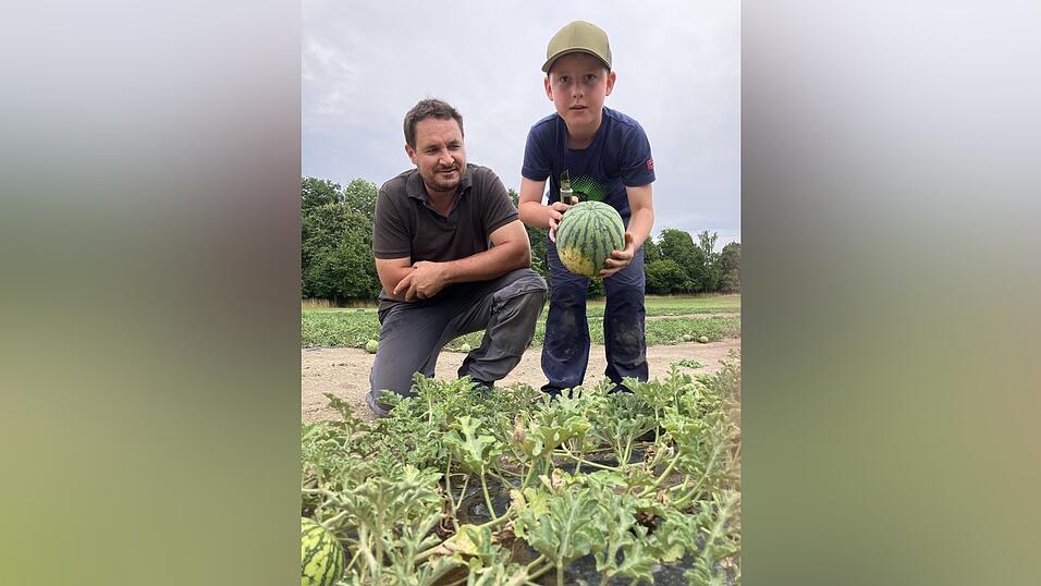 Max Faltermeier - links Papa Martin - zeigt eine reife Melone, die er gerade geerntet hat. Max Faltermeier - links Papa Martin - zeigt eine reife Melone, die er gerade geerntet hat.