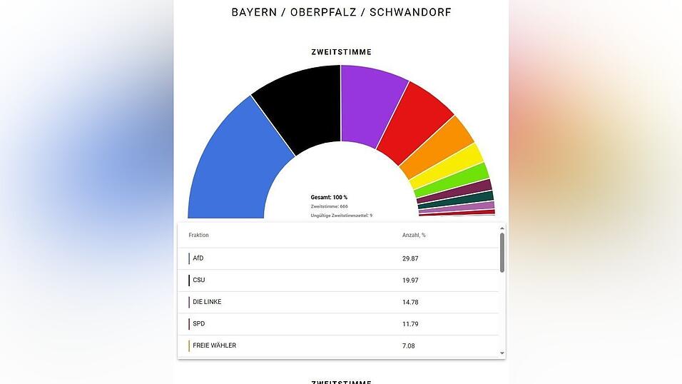 So sieht die U18-Wahl im Stimmbezirk Schwandorf/Cham aus.