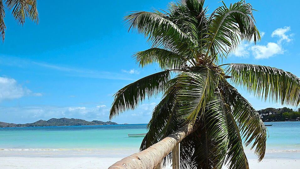 Gerade jetzt, wo die Tage kürzer werden und das kalte Herbstwetter aufzieht, zieht es so manchen - zumindest gedanklich - in die Ferne, auf die Seychellen etwa. Gerade jetzt, wo die Tage kürzer werden und das kalte Herbstwetter aufzieht, zieht es so manchen - zumindest gedanklich - in die Ferne, auf die Seychellen etwa.