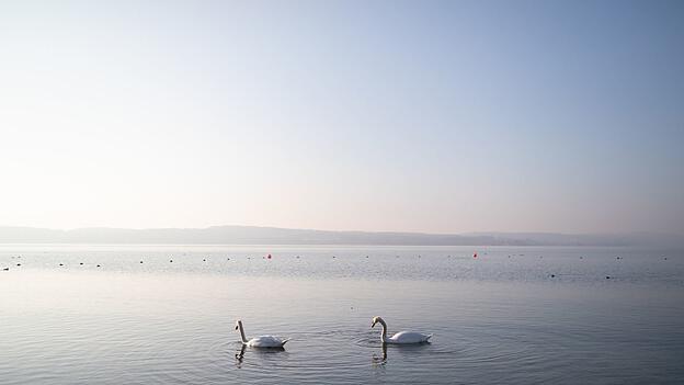 Der Bodensee ist f&uuml;r die Jahreszeit ungew&ouml;hnlich warm. (Symbolbild)