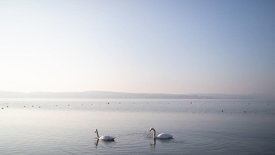 Der Bodensee ist für die Jahreszeit ungewöhnlich warm. (Symbolbild) Der Bodensee ist für die Jahreszeit ungewöhnlich warm. (Symbolbild)