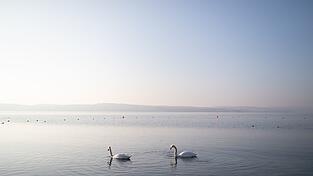 Der Bodensee ist für die Jahreszeit ungewöhnlich warm. (Symbolbild) Der Bodensee ist für die Jahreszeit ungewöhnlich warm. (Symbolbild)