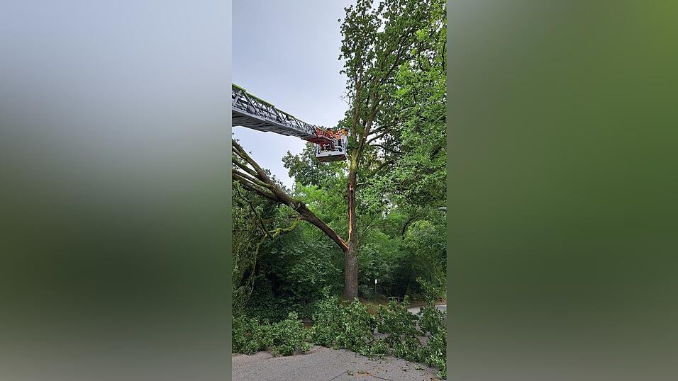 Mehr als 40 Eins&auml;tze hatten die L&ouml;schz&uuml;ge der Landshuter Feuerwehr im Zuge des Unwetters zu absolvieren.