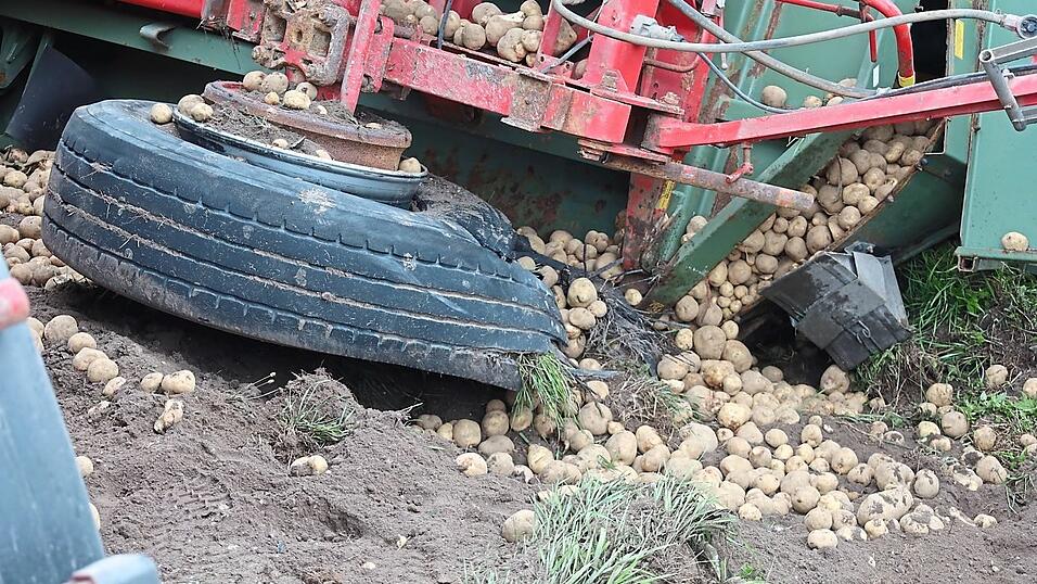 Durch den Unfall verteilten sich die Kartoffeln im Graben und auf der Fahrbahn. Durch den Unfall verteilten sich die Kartoffeln im Graben und auf der Fahrbahn.