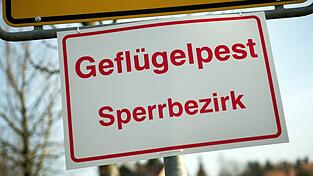 In Mittelfranken gibt es einen Verdacht auf Geflügelpest. (Archivbild)