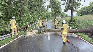 In Katzbach warf die Gewitterfront gleich mehrere Bäume um. In Katzbach warf die Gewitterfront gleich mehrere Bäume um.