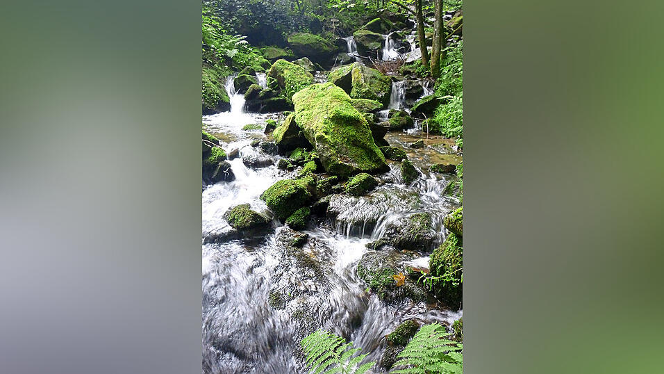 Beispielsweise die Nagelsteiner Wasserf&auml;lle sind mit der Linie 58 gut erreichbar.