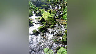 Beispielsweise die Nagelsteiner Wasserf&auml;lle sind mit der Linie 58 gut erreichbar.