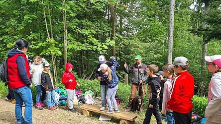 Der Holzsteg stellt einen schmalen Pfad &uuml;ber eine Schlucht mit Krokodilen dar; wer runterf&auml;llt, wird gefressen. Deshalb war die Aufgabe von jeweils zwei Sch&uuml;lern, sich gegenseitig zu helfen, damit beide unbeschadet den Holzsteg passieren konnten.