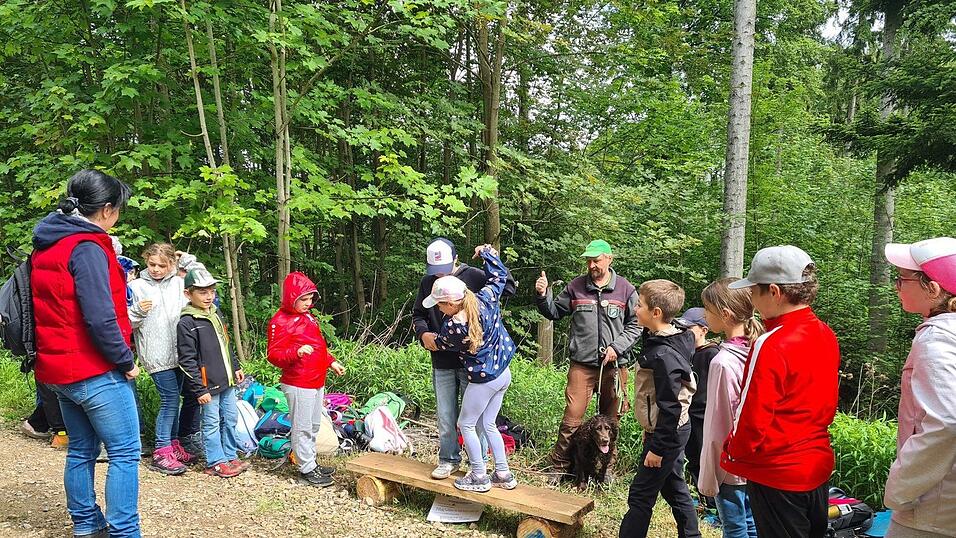 Der Holzsteg stellt einen schmalen Pfad über eine Schlucht mit Krokodilen dar; wer runterfällt, wird gefressen. Deshalb war die Aufgabe von jeweils zwei Schülern, sich gegenseitig zu helfen, damit beide unbeschadet den Holzsteg passieren konnten. Der Holzsteg stellt einen schmalen Pfad über eine Schlucht mit Krokodilen dar; wer runterfällt, wird gefressen. Deshalb war die Aufgabe von jeweils zwei Schülern, sich gegenseitig zu helfen, damit beide unbeschadet den Holzsteg passieren konnten.