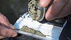Der private Anbau von drei Marihuana-Pflanzen pro Erwachsenem ist jetzt erlaubt, außerdem der Besitz von 25 Gramm (Öffentlichkeit) beziehungsweise 50 Gramm (Zuhause).