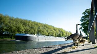Viel Sonne und Temperaturen &uuml;ber 20 Grad sind in den n&auml;chsten Tagen zu erwarten.