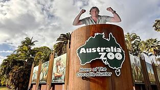 Der Australia Zoo in Queensland ist das große Vermächtnis von Steve Irwin und lockt Menschen aus aller Welt an. Der Australia Zoo in Queensland ist das große Vermächtnis von Steve Irwin und lockt Menschen aus aller Welt an.