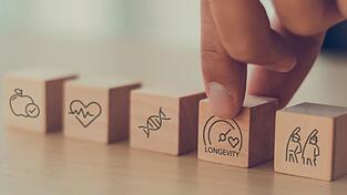 Wer sich für Longevity (Langlebigkeit) interessiert, arbeitet darauf hin, die menschliche Lebenszeit zu verlängern. Ziel ist es in erster Linie, den Alterungsprozess zu verlangsamen. Wer sich für Longevity (Langlebigkeit) interessiert, arbeitet darauf hin, die menschliche Lebenszeit zu verlängern. Ziel ist es in erster Linie, den Alterungsprozess zu verlangsamen.