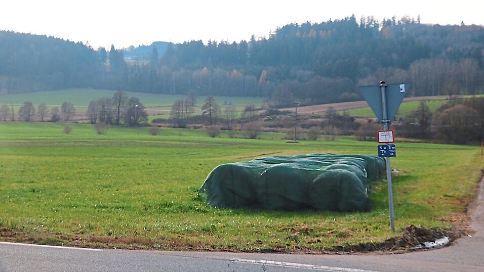 In diesem Bereich in Höll möchte die Stadt ein neues Feuerwehrgerätehaus mit Sirenenanlage und eine Trafostation der Stadtwerke bauen. In diesem Bereich in Höll möchte die Stadt ein neues Feuerwehrgerätehaus mit Sirenenanlage und eine Trafostation der Stadtwerke bauen.