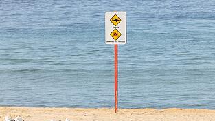 Nach dem Hai-Angriff wurde der betroffene Strand aus Sicherheitsgründen geschlossen. Nach dem Hai-Angriff wurde der betroffene Strand aus Sicherheitsgründen geschlossen.
