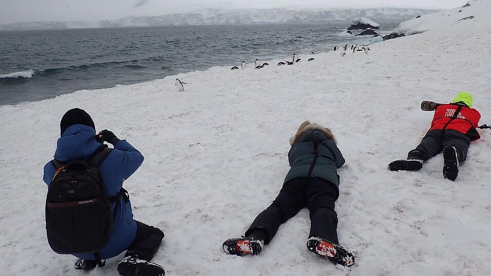 Pinguine so hautnah vor die Linse zu bekommen, reizt die meisten Touristen.
