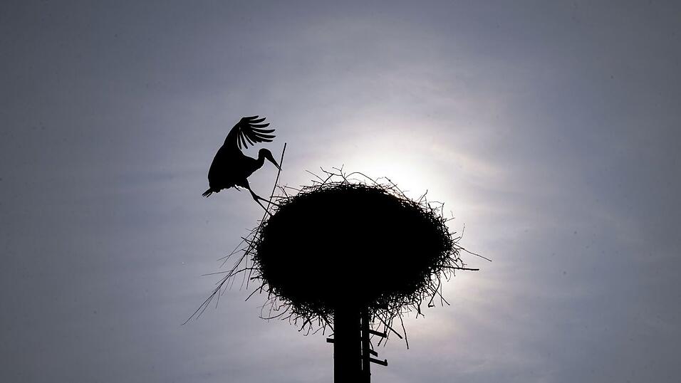 Zu Beginn der Pfingstferien sollen die Temperaturen deutlich steigen. (Archivbild)