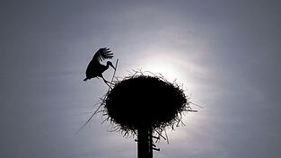 Zu Beginn der Pfingstferien sollen die Temperaturen deutlich steigen. (Archivbild) Zu Beginn der Pfingstferien sollen die Temperaturen deutlich steigen. (Archivbild)