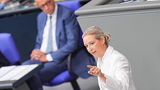 Alice Weidel nutzt die Generaldebatte zum Haushalt im Bundestag f&uuml;r Angriffe gegen Kanzler Friedrich Merz.