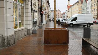 2025 hat die Stadt drei K&uuml;belb&auml;ume in der Neustadt aufgestellt, die, als Ersatz f&uuml;r Betonbl&ouml;cke, auch den Wochenmarkt vor Terrorangriffen sch&uuml;tzen k&ouml;nnen.