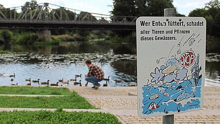 Vielerorts zeigen die Verbotsschilder in Ufernähe keine Wirkung.