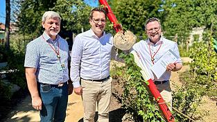 Im „Grenzen-los“-Themengarten der Landesgartenschau in Furth im Wald stellten MdL Gerhard Hopp und MdEP Christian Doleschal im Beisein von Furths Bürgermeister Sandro Bauer (v. r.) symbolträchtig ihren neuen Zwölf-Punkte-Plan für die Grenzregion vor.