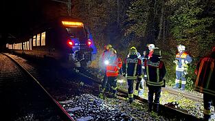 Bei dem Zusammenstoß mit einem Baum wurde kein Passagier des Zuges verletzt.