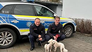 Die beiden Malteser-Hunde wurden gut umsorgt in der Polizei-Dienststelle.  