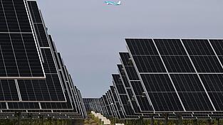 Freiflächen-Photovoltaikanlagen gelten als die günstigste Art der Stromproduktion. (Archivbild) Freiflächen-Photovoltaikanlagen gelten als die günstigste Art der Stromproduktion. (Archivbild)