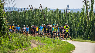 Ein anspruchsvoller Kurs &uuml;ber 66 Kilometer durch das malerische H&uuml;gelland der Holledau erwartet die Teilnehmer auch bei 21. Auflage der Hallertau-Inline-Tour am Himmelfahrtstag.