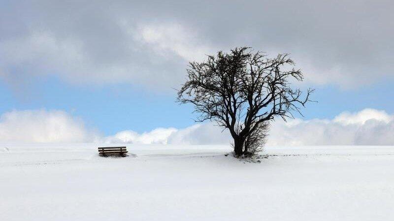 Eine Bank und ein Baum stehen in der mit Neuschnee bedeckten Landschaft in Bayern. Eine Bank und ein Baum stehen in der mit Neuschnee bedeckten Landschaft in Bayern.