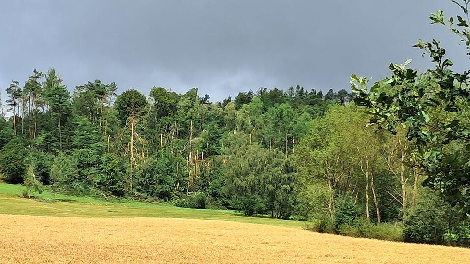 Tagsdarauf zeigt sich der Schaden an der Flora.
