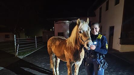 Eine Polizistin konnte das entlaufene Pferd wohlbehalten einfangen.&nbsp;