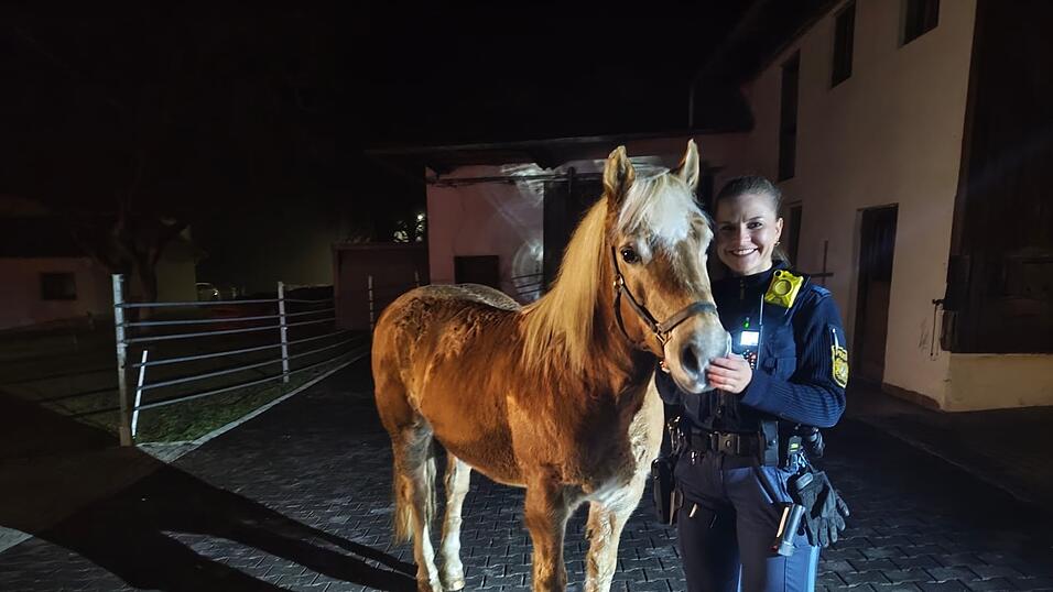 Eine Polizistin konnte das entlaufene Pferd wohlbehalten einfangen.&nbsp;