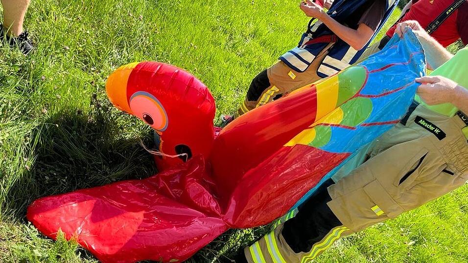 Dieses Schwimmtier hat für einen Alarm in Katzbach gesorgt. Dieses Schwimmtier hat für einen Alarm in Katzbach gesorgt.