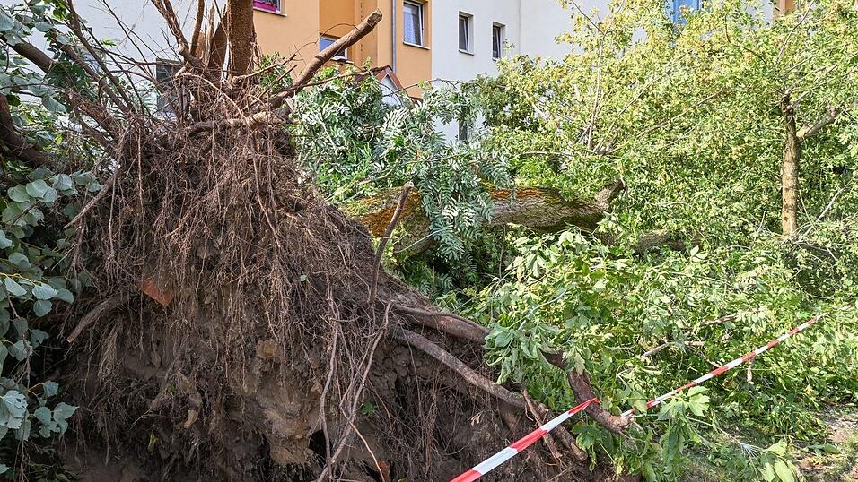 Am Tag danach ist in Fürstenwalde Aufräumen angesagt. Am Tag danach ist in Fürstenwalde Aufräumen angesagt.
