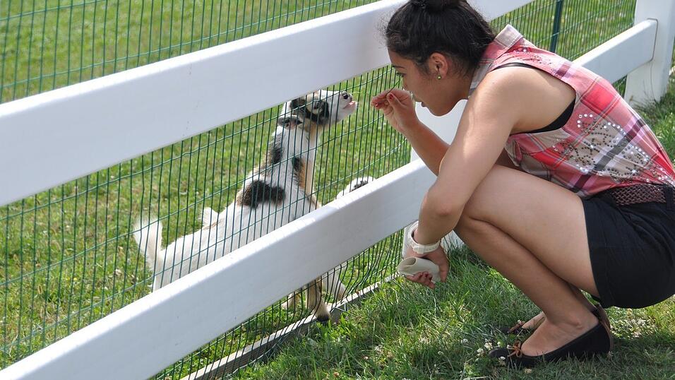 Die Amischen in Pennsylvania sind eine Glaubensgemeinschaft, die versuchen, ohne Konsum zu leben. Stefanie Maier hat sie in Pennsylvania besucht. Die Amischen in Pennsylvania sind eine Glaubensgemeinschaft, die versuchen, ohne Konsum zu leben. Stefanie Maier hat sie in Pennsylvania besucht.