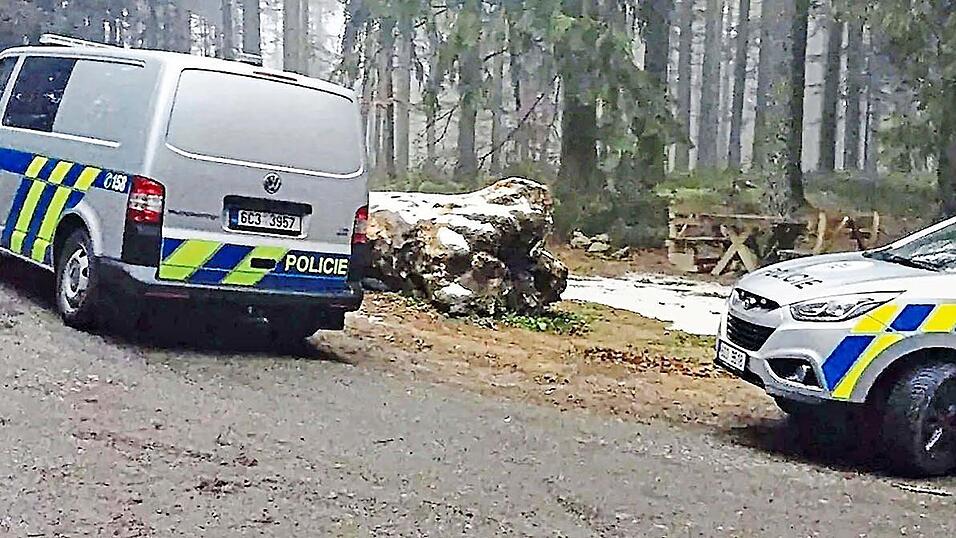 In diesem Waldstück in Tschechien wurde der Getötete aufgefunden.