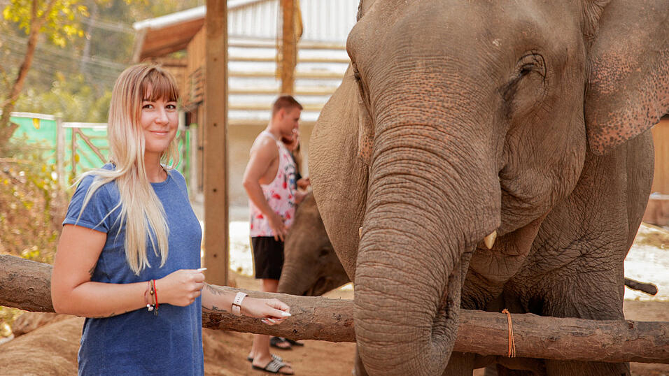 Ein Erlebnis, an das sich Kati Auerswald noch lange erinnern wird: eine Begegnung mit Elefanten in Chiang Mai, im Norden Thailands. Ein Erlebnis, an das sich Kati Auerswald noch lange erinnern wird: eine Begegnung mit Elefanten in Chiang Mai, im Norden Thailands.