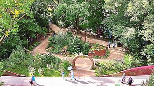 Der mystische „Schattengarten“ an der Südspitze der Festwieseinsel ist für viele Gartenschaubesucher ein Ort der Entspannung, aber auch der Inspiration.