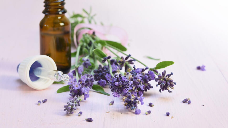 Lavendel &ndash; mild und heilend.&nbsp;