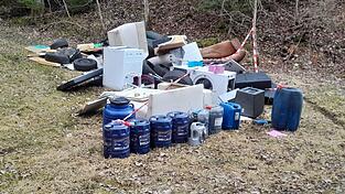 Der riesige M&uuml;llberg wurde in einem Wald abgeladen