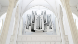 Bei der neuen Orgel handelt es sich um ein Instrument, das der Pfarrkirchenstiftung zufolge eine zeitgenössische Formensprache aufweist, ohne ein klassisches Orgelgehäuse aufzugeben. Ein Rückpositiv wird es künftig nicht mehr geben. Stadtpfarrer Peter König und Kirchenpfleger Tobias Gmeineder loben das Angebot des Leonberger Orgelbauers als das mit dem besten Gesamtpaket hinsichtlich Preis, Leistung und Qualität. Bei der neuen Orgel handelt es sich um ein Instrument, das der Pfarrkirchenstiftung zufolge eine zeitgenössische Formensprache aufweist, ohne ein klassisches Orgelgehäuse aufzugeben. Ein Rückpositiv wird es künftig nicht mehr geben. Stadtpfarrer Peter König und Kirchenpfleger Tobias Gmeineder loben das Angebot des Leonberger Orgelbauers als das mit dem besten Gesamtpaket hinsichtlich Preis, Leistung und Qualität.