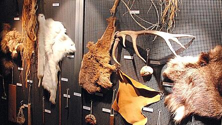 Zahlreiche Kleidungs- und Ausr&uuml;stungsgegenst&auml;nde &Ouml;tzis haben einer Felsmulde rund 5.300 Jahre &uuml;berstanden.