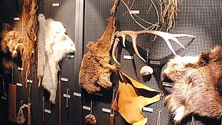 Zahlreiche Kleidungs- und Ausr&uuml;stungsgegenst&auml;nde &Ouml;tzis haben einer Felsmulde rund 5.300 Jahre &uuml;berstanden.