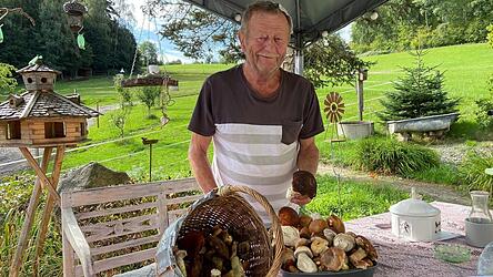 Walter Zach mit den Pilzen, die er am Morgen gefunden hat. Am Nachmittag wird der 70-J&auml;hrige erneut in die Schwammerl gehen.