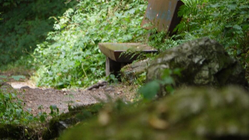 Wunderschönes Ausflugsziel in Passau: die Halser Ilzschleifen. Wunderschönes Ausflugsziel in Passau: die Halser Ilzschleifen.