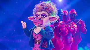 Sie hat gewonnen: Die maskierte Sängerin «Muuhnika». Sie hat gewonnen: Die maskierte Sängerin «Muuhnika».